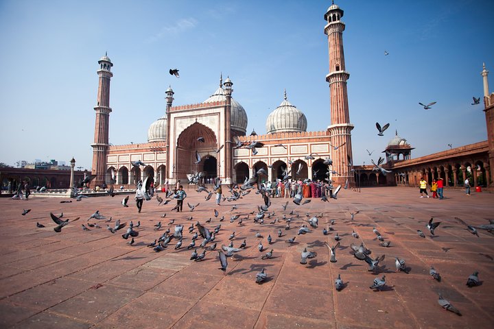 One-Day Delhi Sightseeing Tour Package